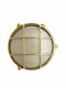 NB Lighting Wall-Mounted Outdoor Turtle Light IP54