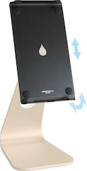 Rain Design mStand Tablet Pro Tabletständer Schreibtisch bis 13" in Gold Farbe