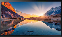 Samsung QM32R-T 32" 4K UHD LED Commercial Display