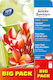 Avery Zweckform Photo Paper Highgloss A4 (21x30) 250gr/m² for Printers Inkjet 40 Sheets
