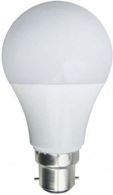 Eurolamp LED Lampen für Fassung B22 und Form A60 Kühles Weiß 650lm 1Stück