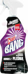 Cillit Bang Power Cleaner Cleaning Spray Toilet 750ml