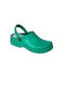 Dian Unisex Anatomic Clogs Green