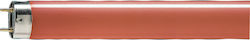 Philips Fluorescent Lamp for Socket G13 with Sh...