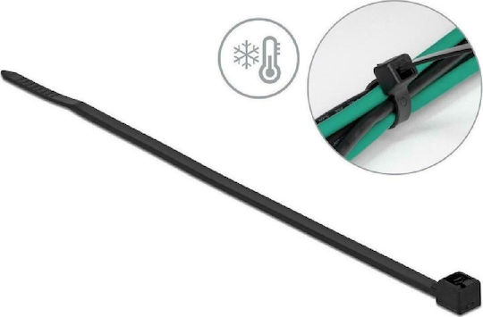 DeLock Cable Ties Plastic 300mm x 4.8mm in Black Colour (100 pcs) (19202)