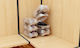 Viosarp Plastic Storage Box for Shoes 20x32x12cm 1pcs