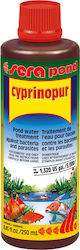 Sera Cyprinopur Aquarium Water Treatment for Water Purification 250ml