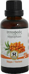 Herbstore Βάμμα Ιπποφαές Hippophaes 50ml