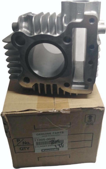 Kawasaki Κύλινδρος Κινητήρα Μοτοσυκλέτας για Modenas X-CITE Κύλινδρος ZX-130 X-CITE 135 Γνήσιος