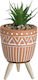Artificial Plant in Small Pot Small pot White 16.5cm Inart