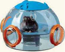 Ferplast Little House for Hamster Σπίτι Τρωκτικών Εργαστήριο 22.5x20.7xh14.3εκ. Μπλε