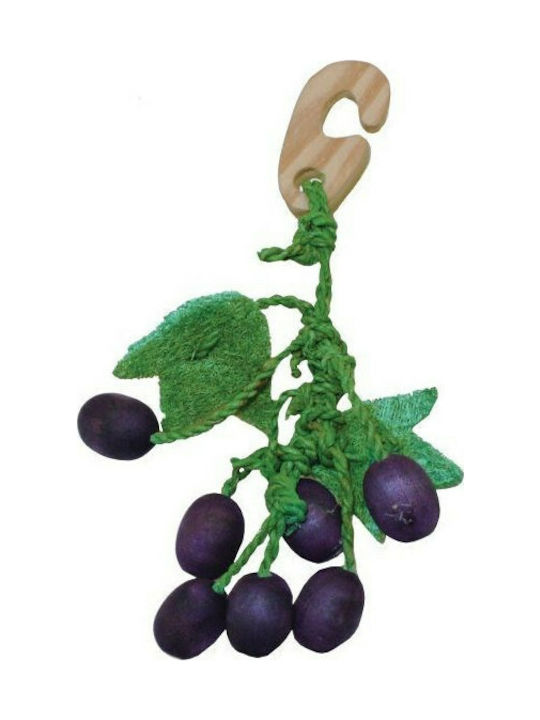 Happypet Berry Nibbler's Rodent Toy Toy Treat for Rodents Grape 20cm