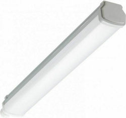 Philips Ledinaire Wt060C Σκαφάκι με Ενσωματωμένο LED
