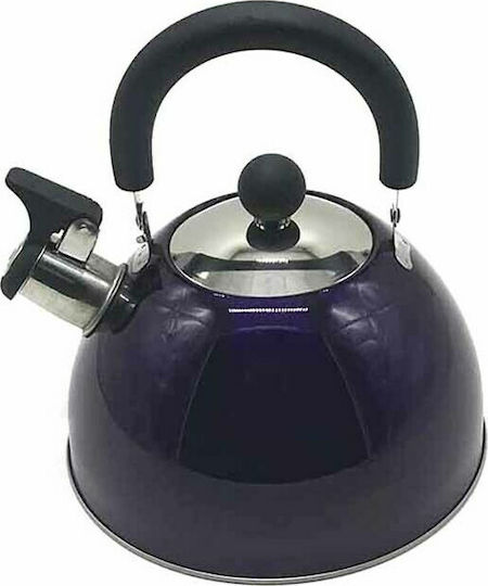Homestyle Βραστήρας Ανοξείδωτος 2500ml