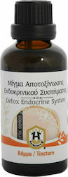 Herbstore Ginseng Μίγμα Αποτοξίνωσης Ενδροκρινικού Συστήματος σε Υγρή Μορφή