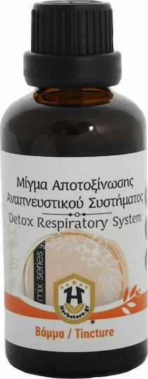 Herbstore Ρόφημα Μίγμα Αποτοξίνωσης Αναπνευστικού Συστήματος σε Σκόνη