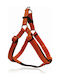 Pet Interest Hundegeschirr Stripes Soft Filling Orange Klein 15mm x 41-51cm 3235-NS