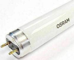 Osram Fluoreszenzlampe T8 15W