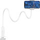 Borofone Bright Shell Mobile Phone Stand with Extension Arm in White Colour