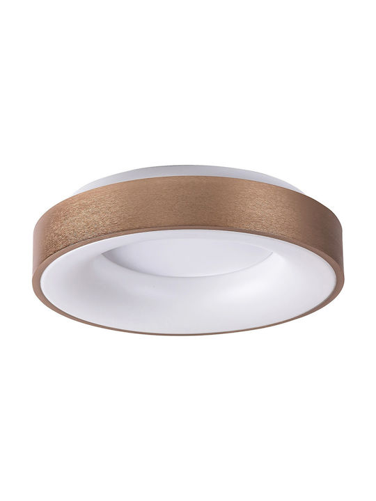 Rabalux Carmella Classic Metallic Ceiling Mount Light with Integrated LED in Gold color 60pcs
