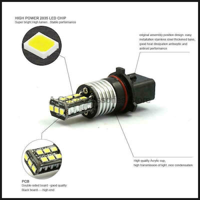 P13W LED canbus ( PIECE )