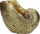 Zaros Dekoratives Wohnaccessoire Muschel aus Polyresin 24,8x13x19 cm