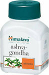 Himalaya Wellness Ashvagandha Anti-Stress 60 κάψουλες