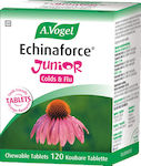 A.Vogel Echinaforce Junior Colds & Flu Tooth Friendly Echinacea 120 chewable tabs