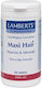 Lamberts Maxi Hair One A Day Formula 60 tabs