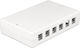 DeLock Keystone Surface Mounted Box 12 Port