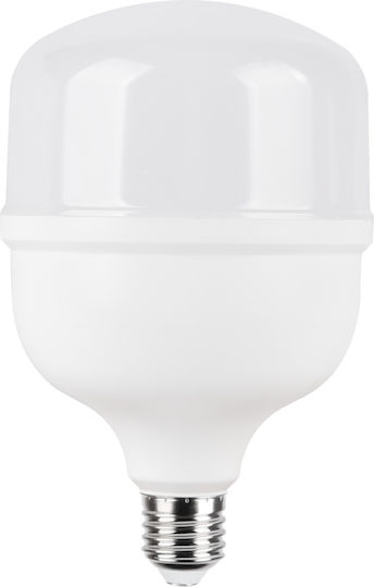 Evivak LED-Lampe 30W für Fassung E27 Kühles Weiß 2700lm