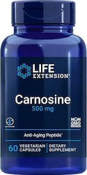 Life Extension Carnosine 60 вегетариански капсули