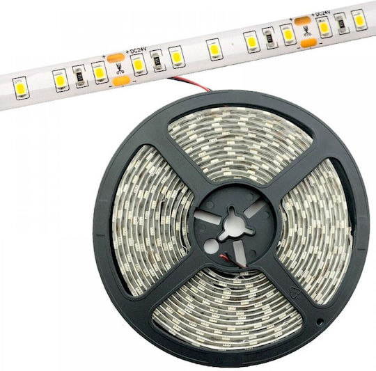 Avide Waterproof LED Strip ABLS12V2835-90WW65 12V Warm White Light 5m Type SMD2835