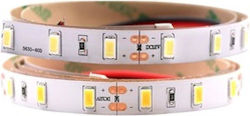 LED-Streifen 12V mit Kaltweiß Licht 1m LED-Streifen 12V mit Kaltweiß Licht 1m