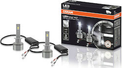 Osram Lămpi Camionului H1 LED 6000K Alb rece 24V 14W 2buc