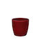 Plastona Roto 16 Oală pentru plante Burgundy 16x16x14.5cm 10.02.0042