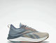 Reebok Floatride Energy 3 Adventure Femei Pantofi sport Alergare Bej Modern / Ardezie Albastră / Gable Grey