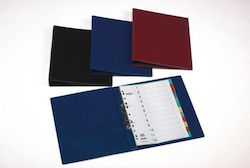 Skag Dosar cu 2 Inele 4/32 pentru Hârtie A4