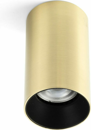 Faro Barcelona Single Spot with Socket GU10 in Gold Color Faro Barcelona Single Spot with Socket GU10 in Gold Color
