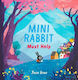 Mini Rabbit Must Help