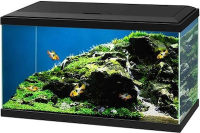 Ciano Aqua 60 Fish Aquarium Capacity 58lt with Lighting, Filter and 60x30x33.5cm. Black