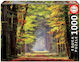 Fall Walkway Puzzle 2D 1000 Pieces