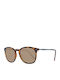 Replay Sunglasses with Brown Tartaruga Frame and Brown Lens RY590-S02C