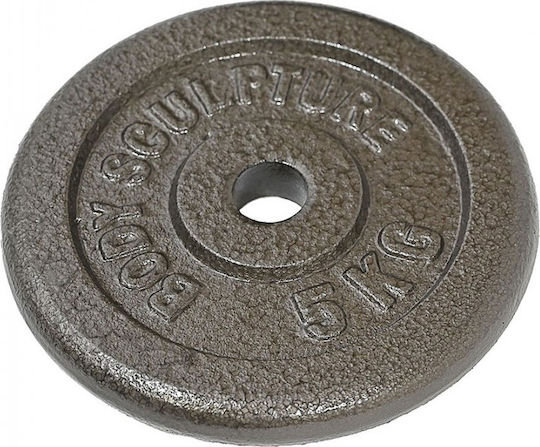 Body Sculpture Metal Plate 1 x 5kg Ø27mm