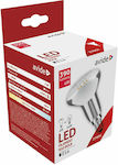 Avide ABLFR50WW-4W LED Lampen für Fassung E14 und Form R50 Warmes Weiß 390lm 1Stück 15.001.0246