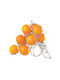 Cosy & Trendy Obstschale Inox Silber 32x32x27cm