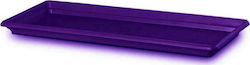 Plastona 340P Rectangular Plate Planter Purple 35x15cm