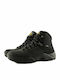 3684 Black