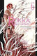 Rokka Braves of the Six Flowers Light Novel, Vol. 6
