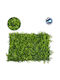 GloboStar Artificial Foliage Panel Dwarf Fern-Nanos Ivy-Danae 60x40cm